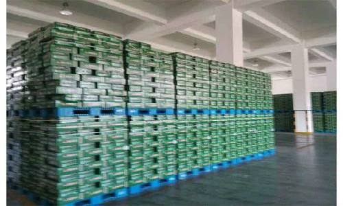 塑料托盤上貨物的打包擺放 塑料托盤上貨物的打包擺放